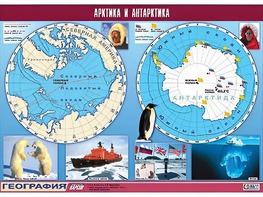 Таблица демонстрационная "Арктика и Антарктика" (винил 100*140) - fgospostavki.ru - Владикавказ