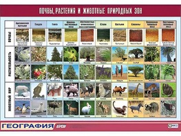 Таблица демонстрационная "Почвы, растения и животные природных зон" (винил 70*100) - fgospostavki.ru - Владикавказ