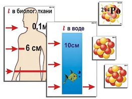 Модель-аппликация "Явление радиоактивности" (ламинированная) - fgospostavki.ru - Владикавказ