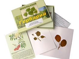 Гербарий "Систематика растений. Семейство Розоцветные" (раздаточный) - fgospostavki.ru - Владикавказ