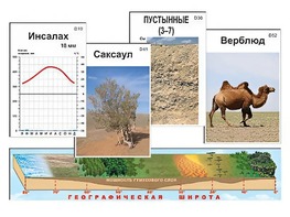 Модель-аппликация "Природные зоны" - fgospostavki.ru - Владикавказ