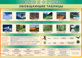 Таблица "Экология. Обобщающие таблицы" (100х140 сантиметров, винил) - fgospostavki.ru - Владикавказ