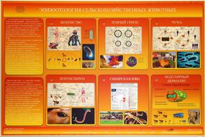 Электрифицированный стенд «Эпизоотология сельскохозяйственных животных» - fgospostavki.ru - Владикавказ