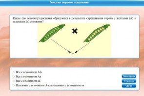 Интерактивные курсы. Биология 11 класс. Базовый. - fgospostavki.ru - Владикавказ