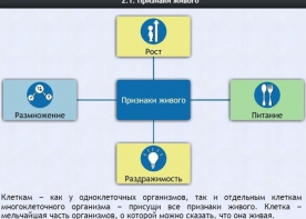 Интерактивные курсы. Биология 5 класс. Базовый - fgospostavki.ru - Владикавказ