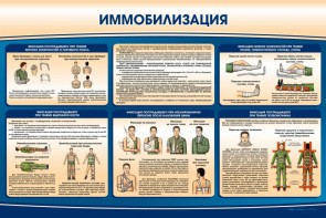 Стенд "Иммобилизация" - fgospostavki.ru - Владикавказ