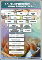 Стенд "Схема приготовления дрожжевого теста" - fgospostavki.ru - Владикавказ