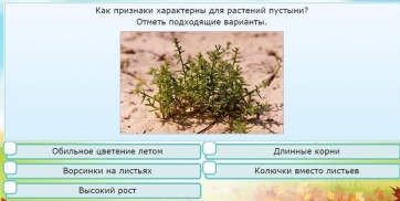 Интерактивные курсы. Окружающий мир 3 класс . Базовый. - fgospostavki.ru - Владикавказ