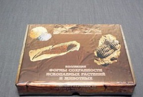 Коллекция "Формы сохранности ископаемых растений и животных" - fgospostavki.ru - Владикавказ