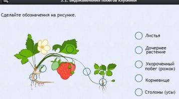 Интерактивные курсы. Биология 7 класс. Расширенный. - fgospostavki.ru - Владикавказ