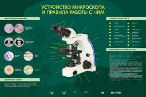 Электрифицированный стенд "Устройство микроскопа и правила работы c ним" - fgospostavki.ru - Владикавказ