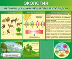Стенд "Экология. Организация и функционирование сообществ" - fgospostavki.ru - Владикавказ