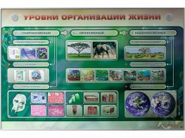 Электрифицированный стенд "Уровни организации жизни" - fgospostavki.ru - Владикавказ