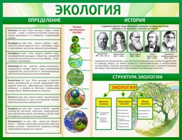 Стенд "Экология" - fgospostavki.ru - Владикавказ