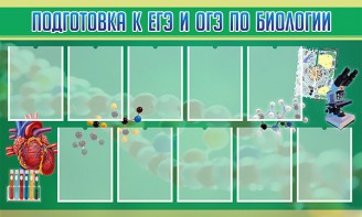 Стенд "Подготовка к ЕГЭ и ОГЭ по биологии" Вариант 2 - fgospostavki.ru - Владикавказ