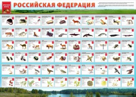 Стенд "Красная книга РФ" - fgospostavki.ru - Владикавказ