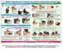 Комплект плакатов "Оказание первой доврачебной медицинской помощи" - fgospostavki.ru - Владикавказ
