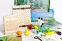 Учебно-методический набор для проектной деятельности в ДОО №1–ЕН (химия, биология, анатомия)  - fgospostavki.ru - Владикавказ