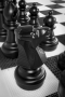Напольные фигуры шахматные гигантские 61 - fgospostavki.ru - Владикавказ