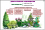 Комплект кодотранспарантов "Культурные растения" - fgospostavki.ru - Владикавказ